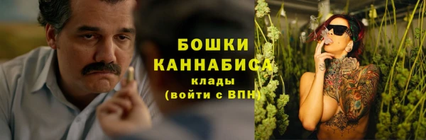сатива Абинск