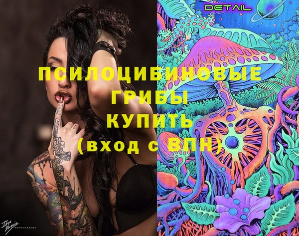 СК Абдулино