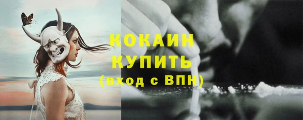 сатива Абинск