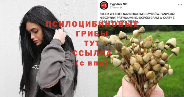 СК Абдулино