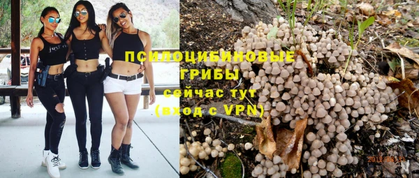 сатива Абинск