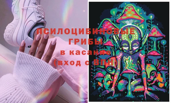 сатива Абинск